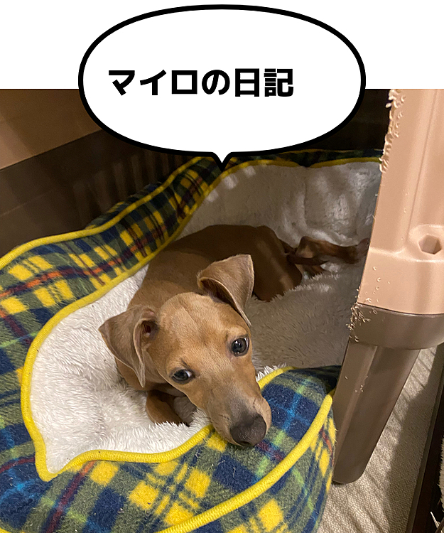 また今日もアイツに乗っ取られました😢