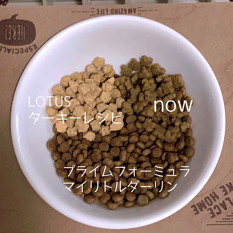 今日も茶色いご飯。
全く手をつけず…
このまま出社してしまったので多分食べてないと思います。