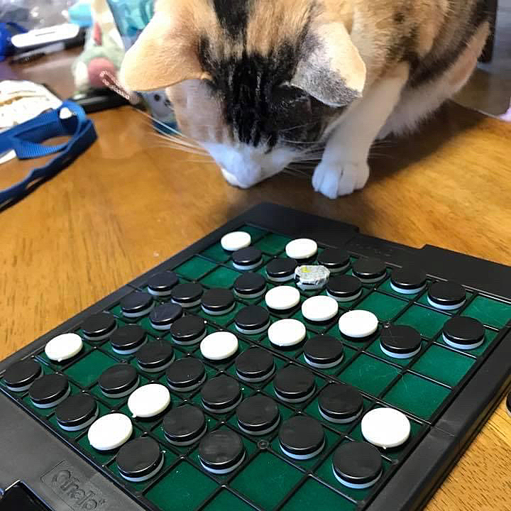 オセロ