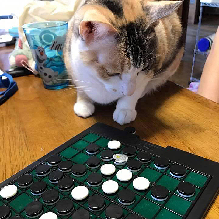 次はどうしようかな？