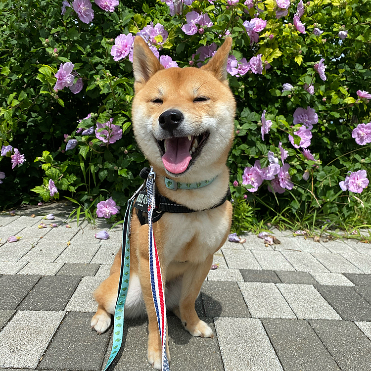 帰る頃は暑くなりはじめたので小走りで帰りました😅