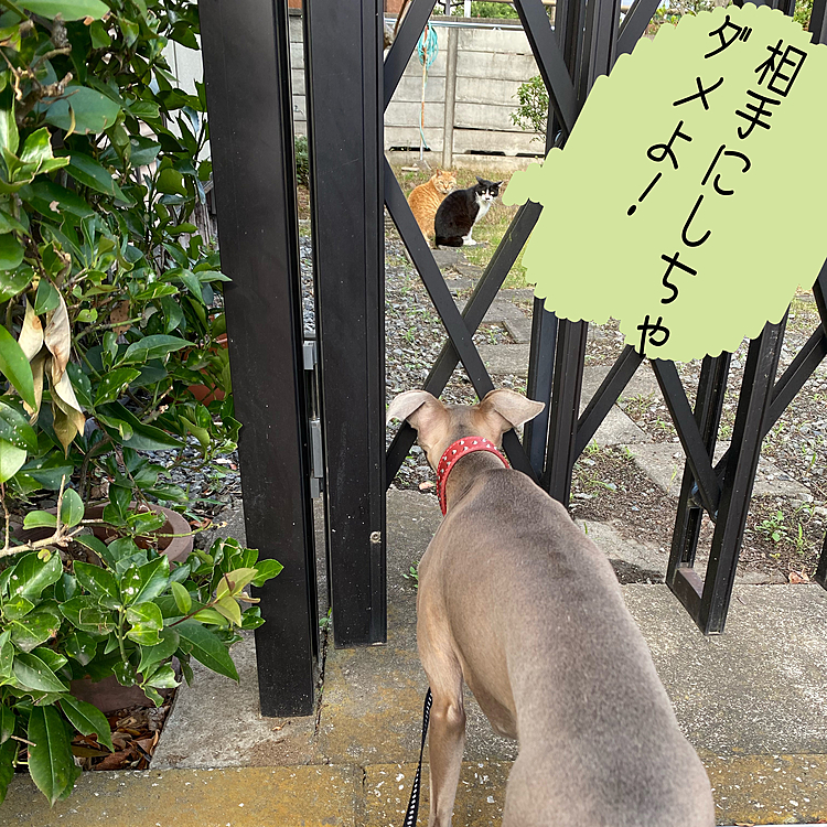 ガン見が止まりません😅