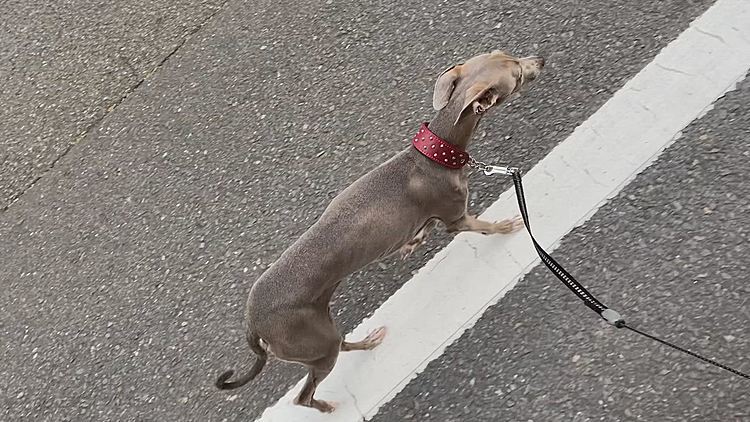 ひとりっ子時間(･3･)～💕