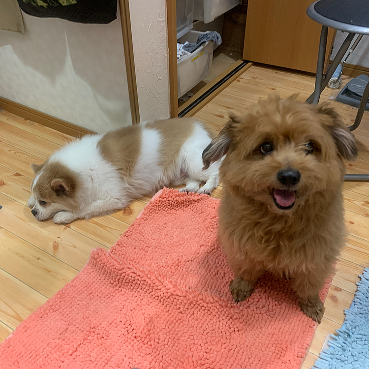お風呂のオヤジ待ち伏せ中の2人😁