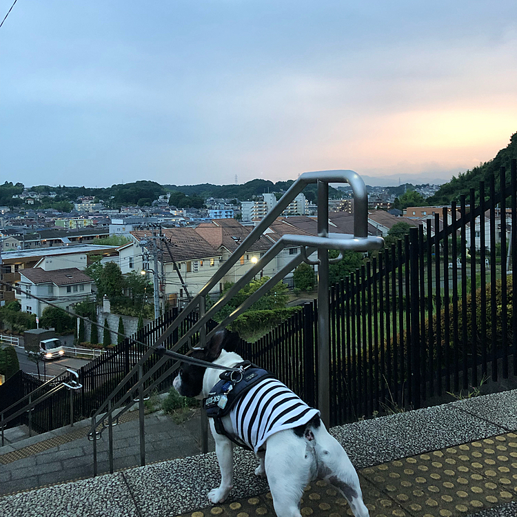 お天気下り坂の筈なのに、ちょっと夕焼けみたいでした😃
明日からキャンプ🏕に行く予定でしたが、ガッツリ雨予報なので、残念ですがキャンセルしましま😭