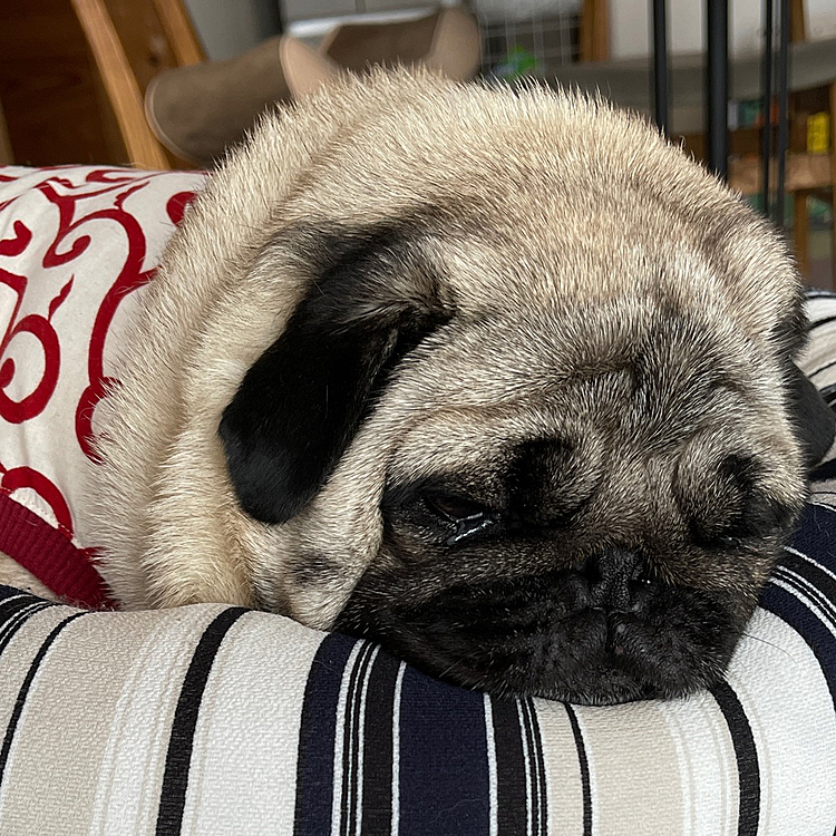 マッサージ後はねむ〜ィ💤