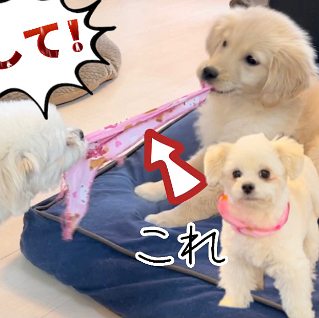 YouTubuの一コマ😂