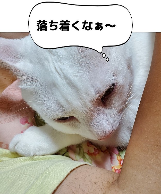 お父ちゃんの腕の中でウトウト…お父ちゃん大好き！