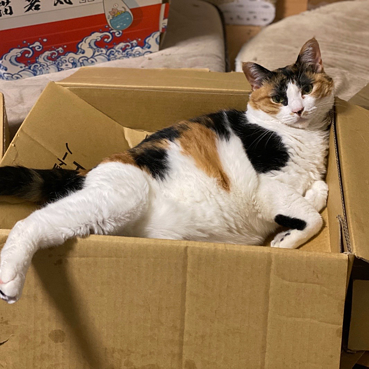 足上げポーズ