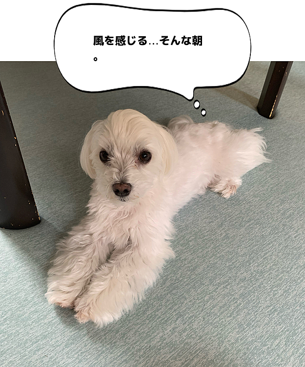 ねぇやんの投稿