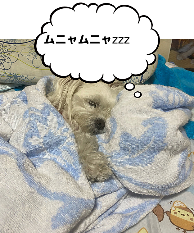 遊び疲れておてて真っ黒なまんま
起きたらシャンプーしようね
