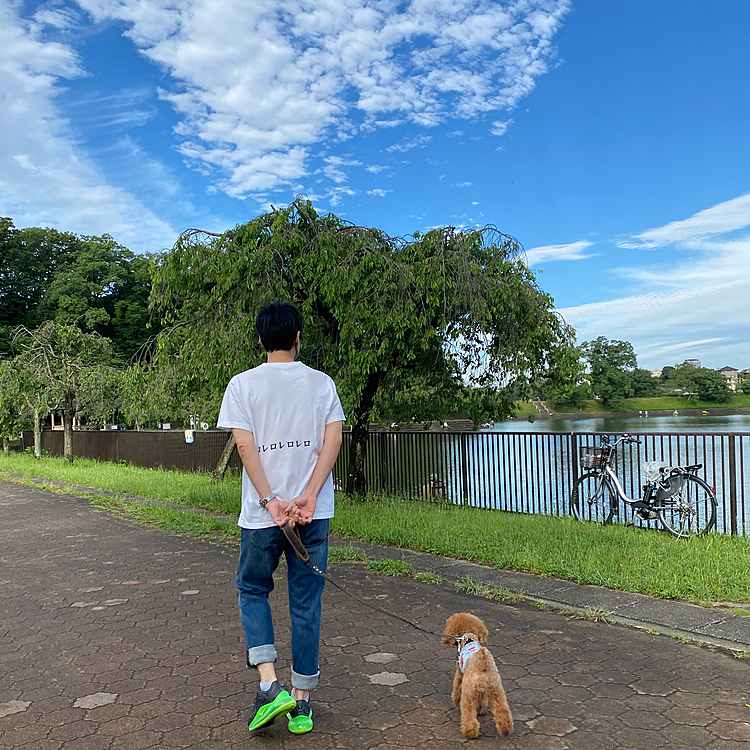日曜日は晴れでしたが31度予報だったのて6時半に朝散歩に出発🐾