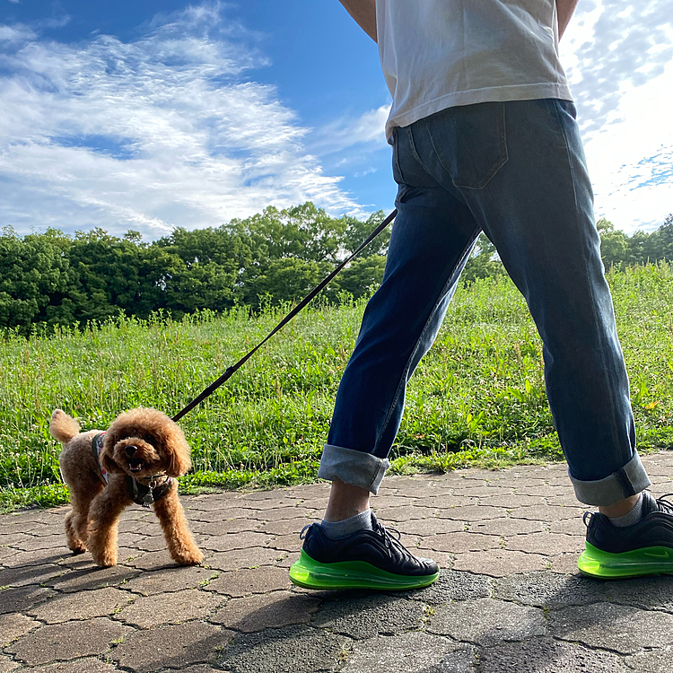ひんやり涼しかったです♪
いつもの広場にはウォーキングやお散歩の人がたくさんいました😉
