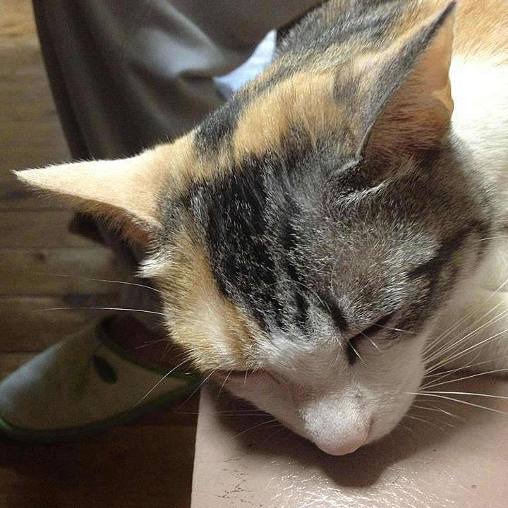 ままっちの投稿