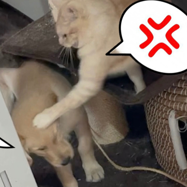 YouTubeの1コマ🤣🤣

