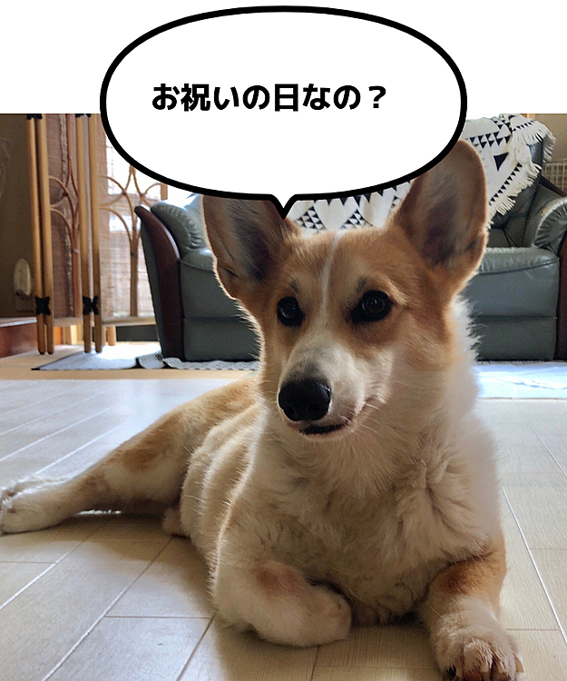 今日は、おかーたんの生まれた日なんだって😃ねー？おかーたんは誰から生まれたの？😃
あばあちゃん？😃
そーだよ😃
今年はもう居ないけどね🌀💦
でもね？居なくても産んでくれた人に感謝する日なんだよ😃
そっか！おばあちゃーん😃
おかーたんはボクたんと毎日元気に過ごしてるからね😃
心配しなくていーからねー😃