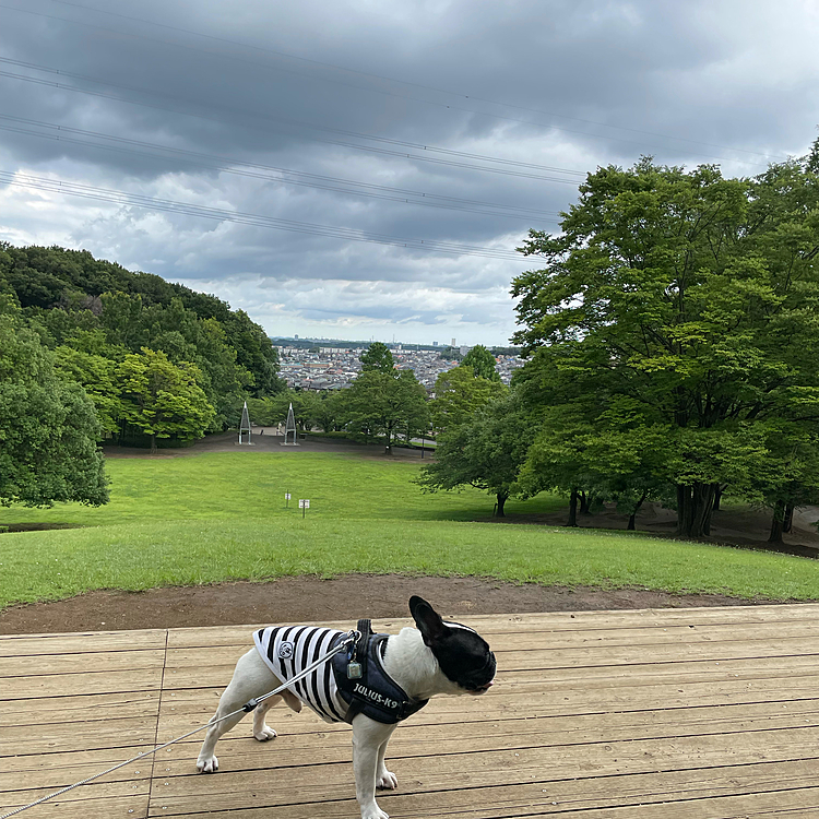 雨が降りそうな雲が出てきましたが何とか大丈夫でした😅