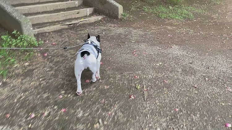 階段上りのエクササイズは欠かせません😁
