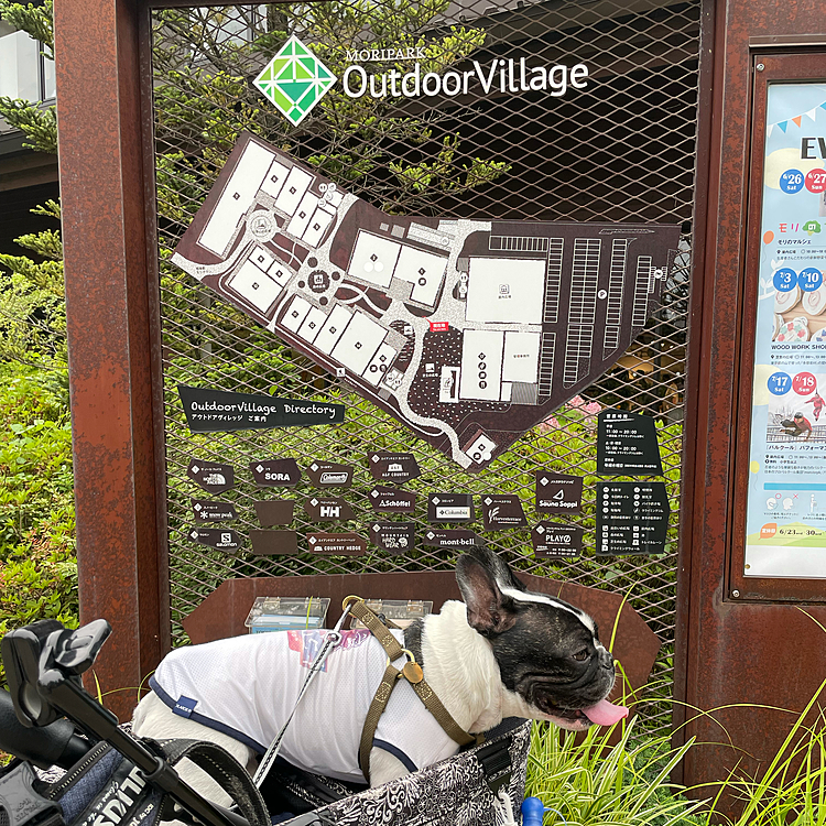 つけたところを写真撮ってもいいですか？ とお店の方から言われたので、早速付けました😁