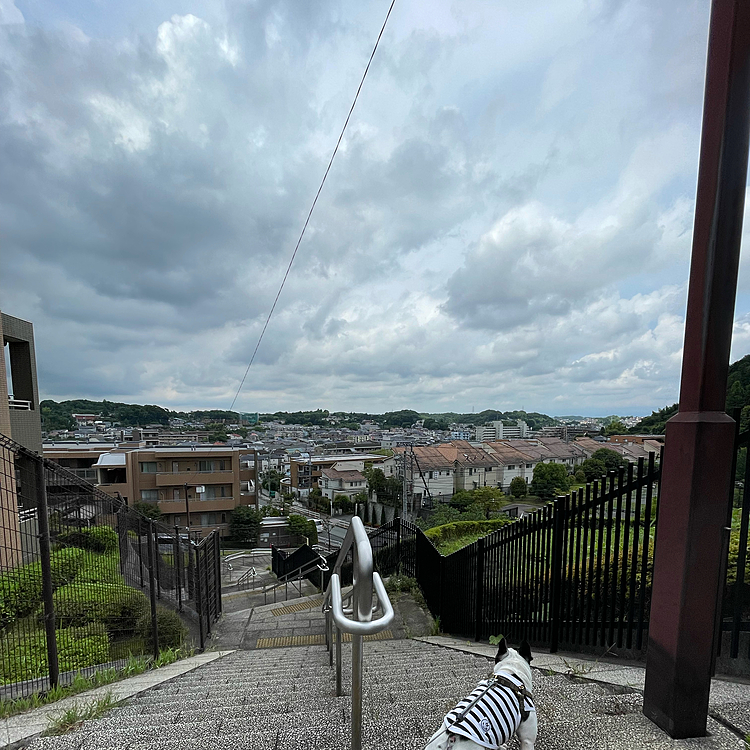 今日はお天気下り坂のまろ地方です😅