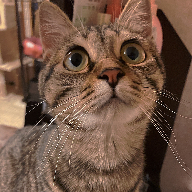 雨が降ってきたよー