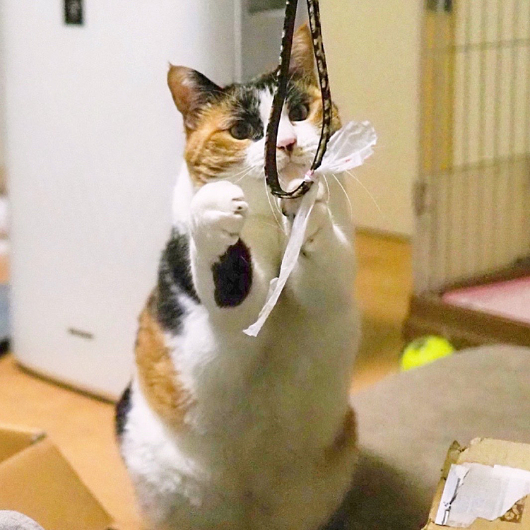 右腕のホクロが
チャームポイント