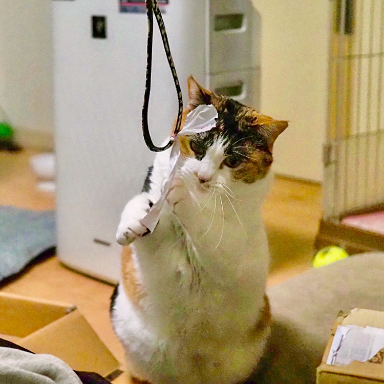 仕事人ポーズ