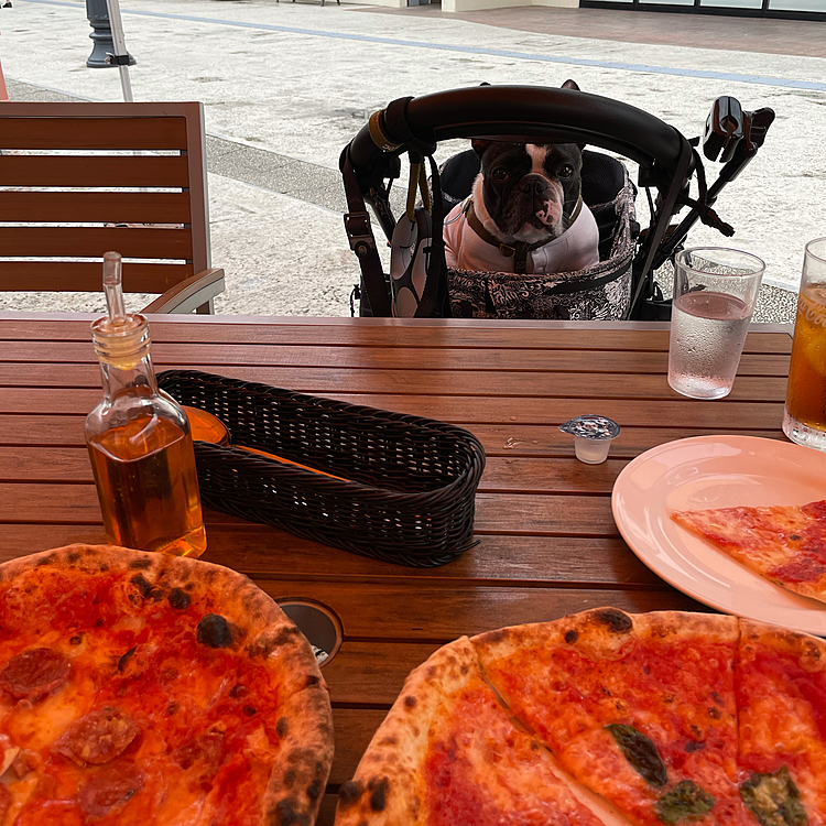 水曜日半額デーの🍕です😁