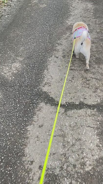 閲覧注意❗️
快腸、快腸💩