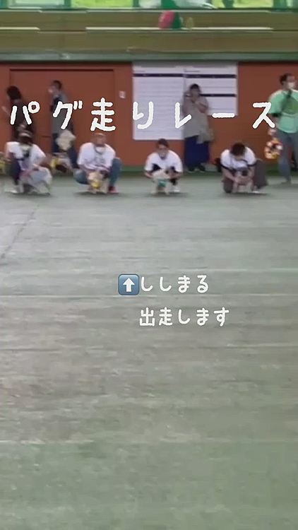 パグフェスでのパグ走り選手権🐶
まさかの出走拒否😅
黄色のTシャツがししまるです🤗
音声つきでお届けしてます🤣