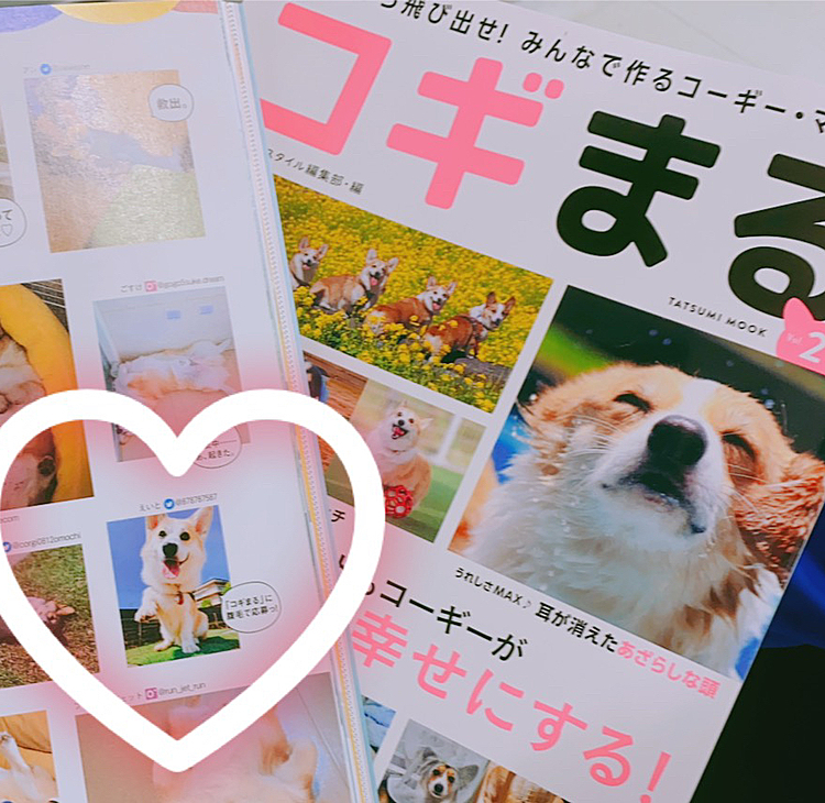 本日発売のコギまる2にえいとが載せていただきました
それも２人共買って来てしまい、家に2冊有ります（笑）