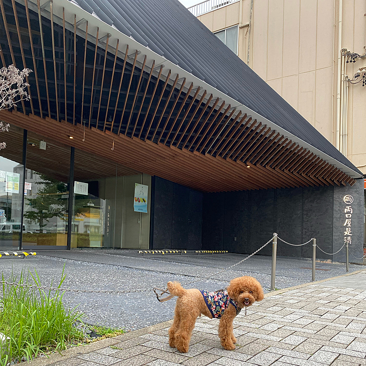 平日のハッピー♪一気見せ😆

6月28日(月)
住宅街をクルクルしただけですが近所の和菓子屋は建築家の隈研吾さんが手がけたものです✨