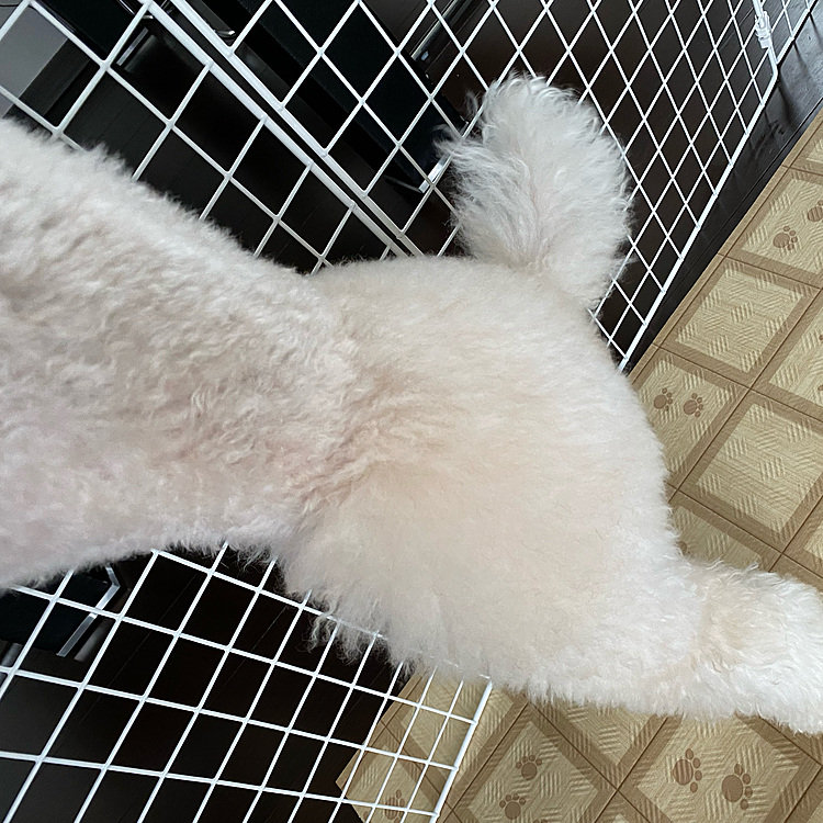 可愛いお尻😍