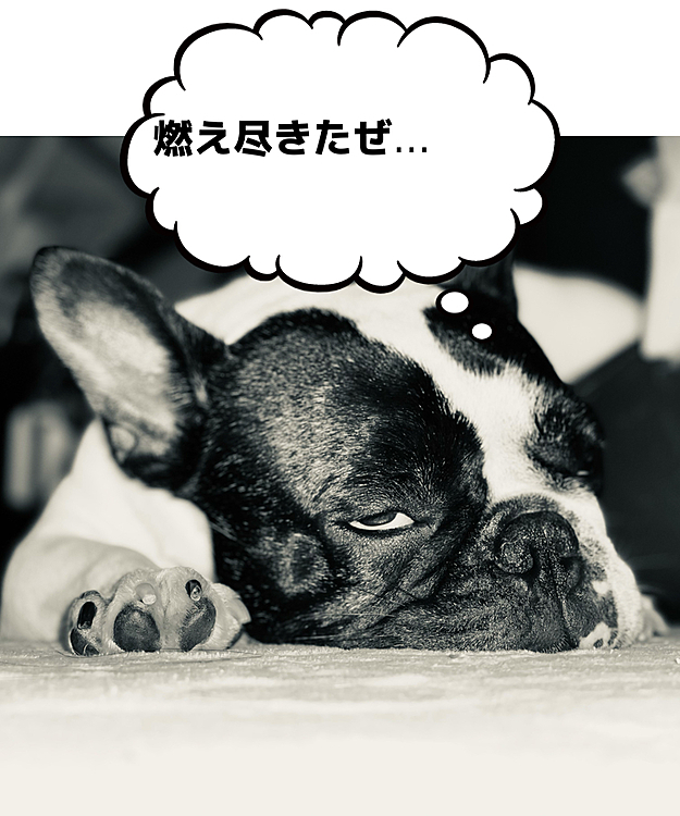 これは昨日の夜、意識を失いかけてるダラまろです🤣