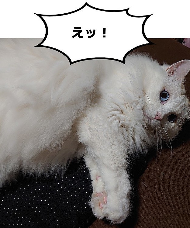 【悲報】本日５Kg超えましたw