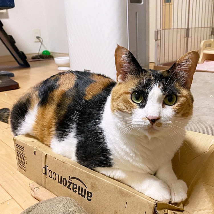 まったり