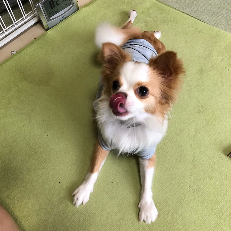 何して遊ぶ❓ってワクワクしてる小春🤣