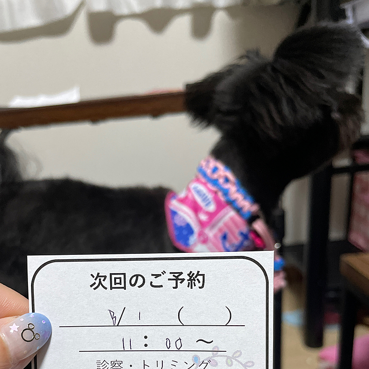 会計の時に来月分も予約して来ましたが…ハピさん抱っこしたままだったので左手でメモ…💦8月って読めないやん🤣1と0は読めるんだけどなぁ😩