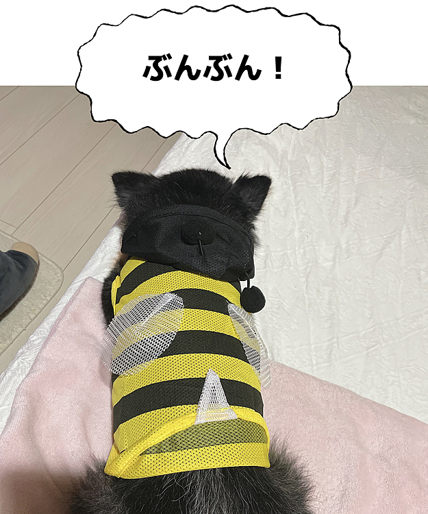 
因みに「猫用」と書いてありました🤣

まぁ、いいんです。笑

