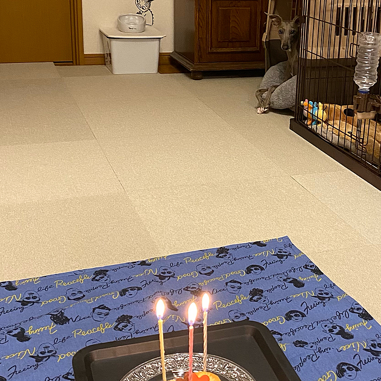 Happy birthday to you🎤🎶
の儀式の間……
避難😰