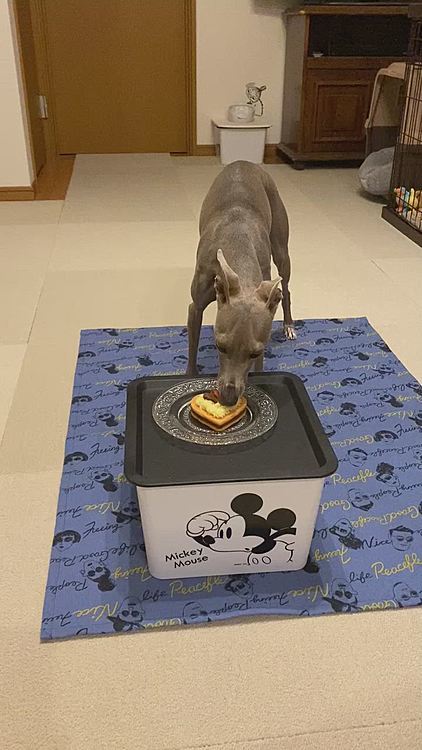 怖かったけど…
でも、美味しかった🎂