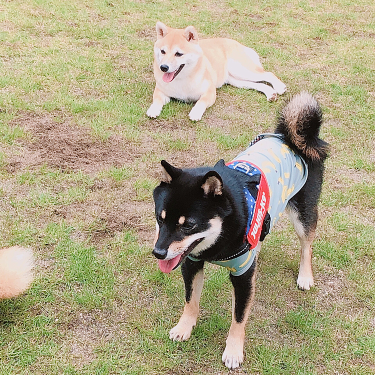 疲れてへばっていいお顔😛😛💕