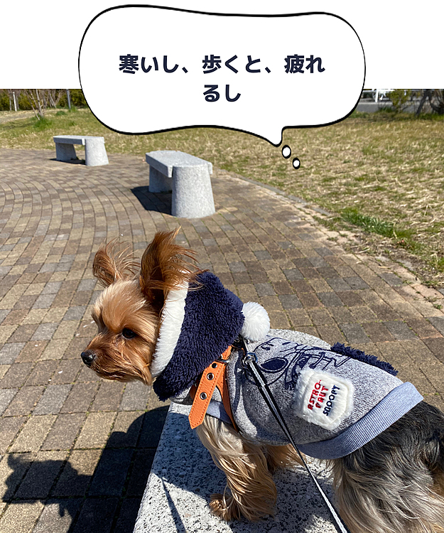 レイクタウンから🐶杏のぼやきを
お届けします^_^先日の事でした😊