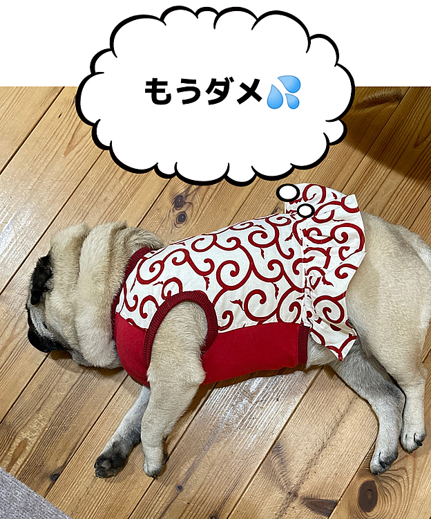 唐草模様が落ちてます🤣