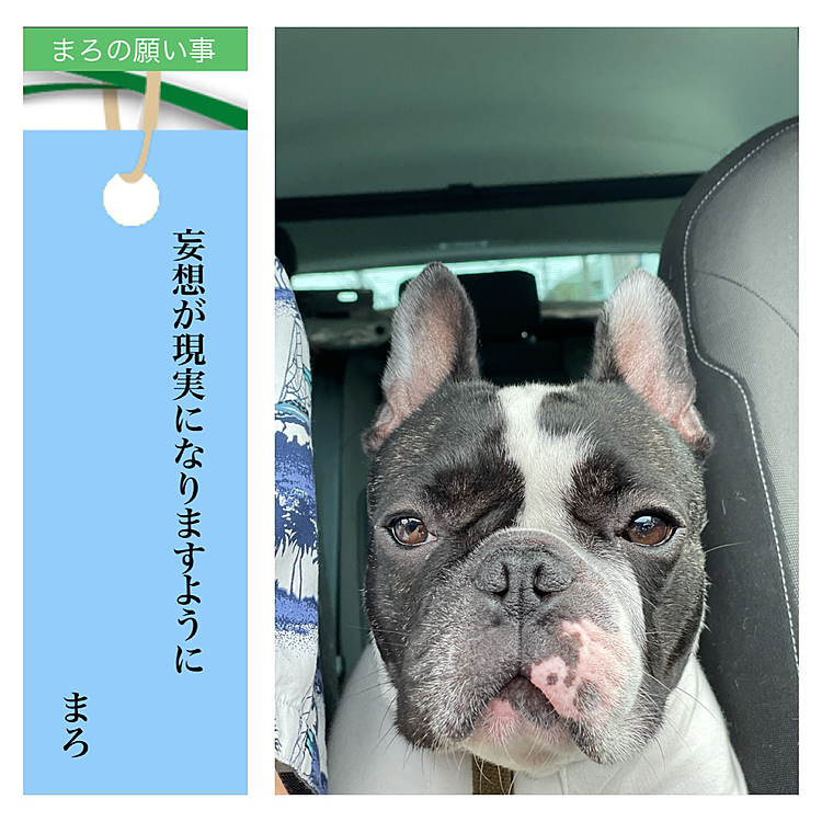 何を妄想してるのでしょうか？
クルマの運転でしょうか😆