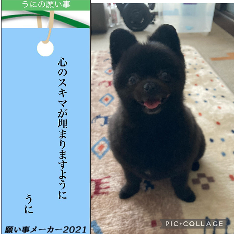 BAR魔の巣に行って喪黒福造に会いに行かなきゃεε＝(((((ﾉ･ω･)ﾉ