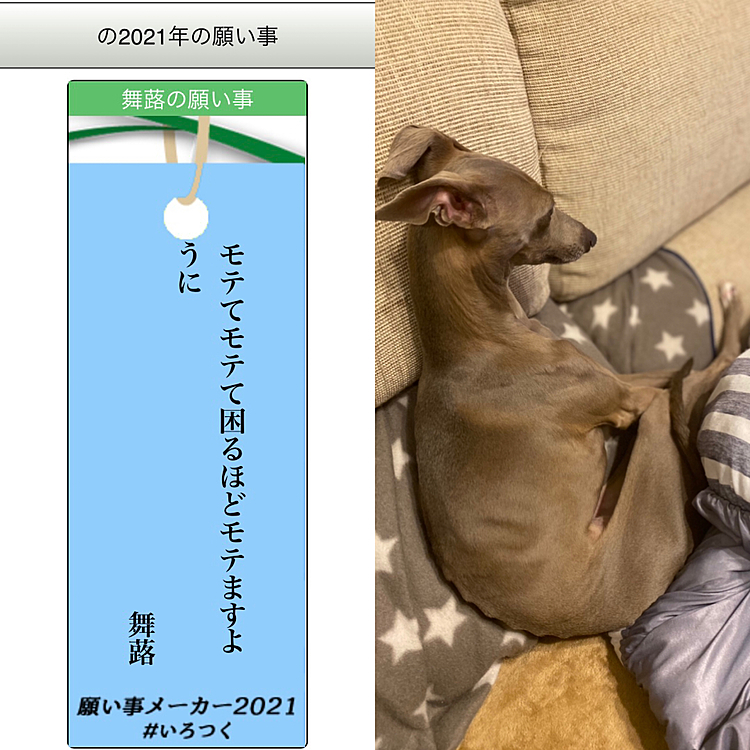 ちょっとマイロさん、
どうしました⁈🤣🤣🤣