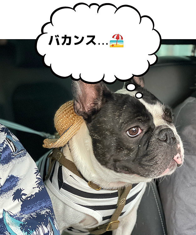 麦わら帽子被ってますが、ホームセンターに行くだけです🤣