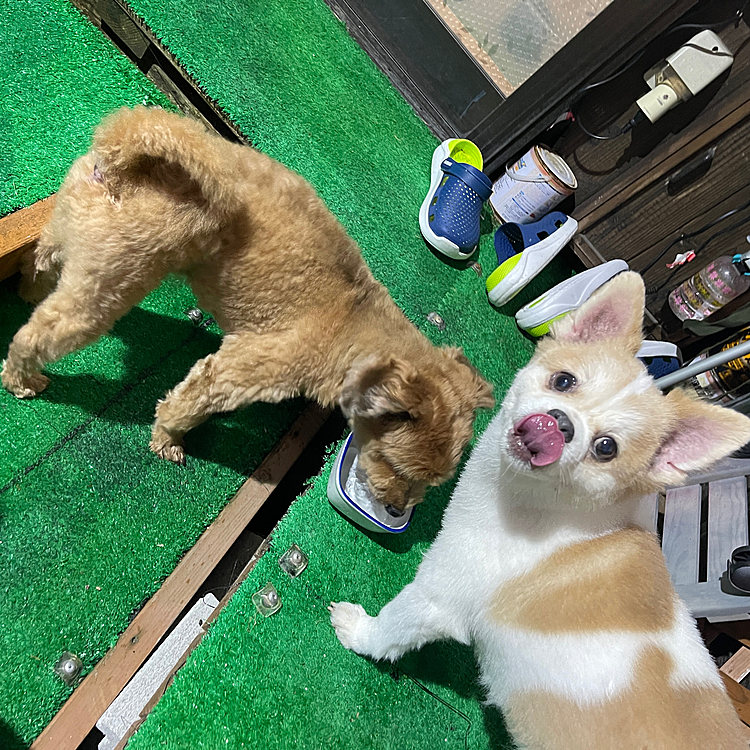 ちょっと遊んだだけやけど、すごいのどの渇きのふたり　