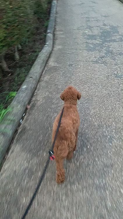 そろそろ梅雨明けしそうです。
東京はお盆はじまりました。